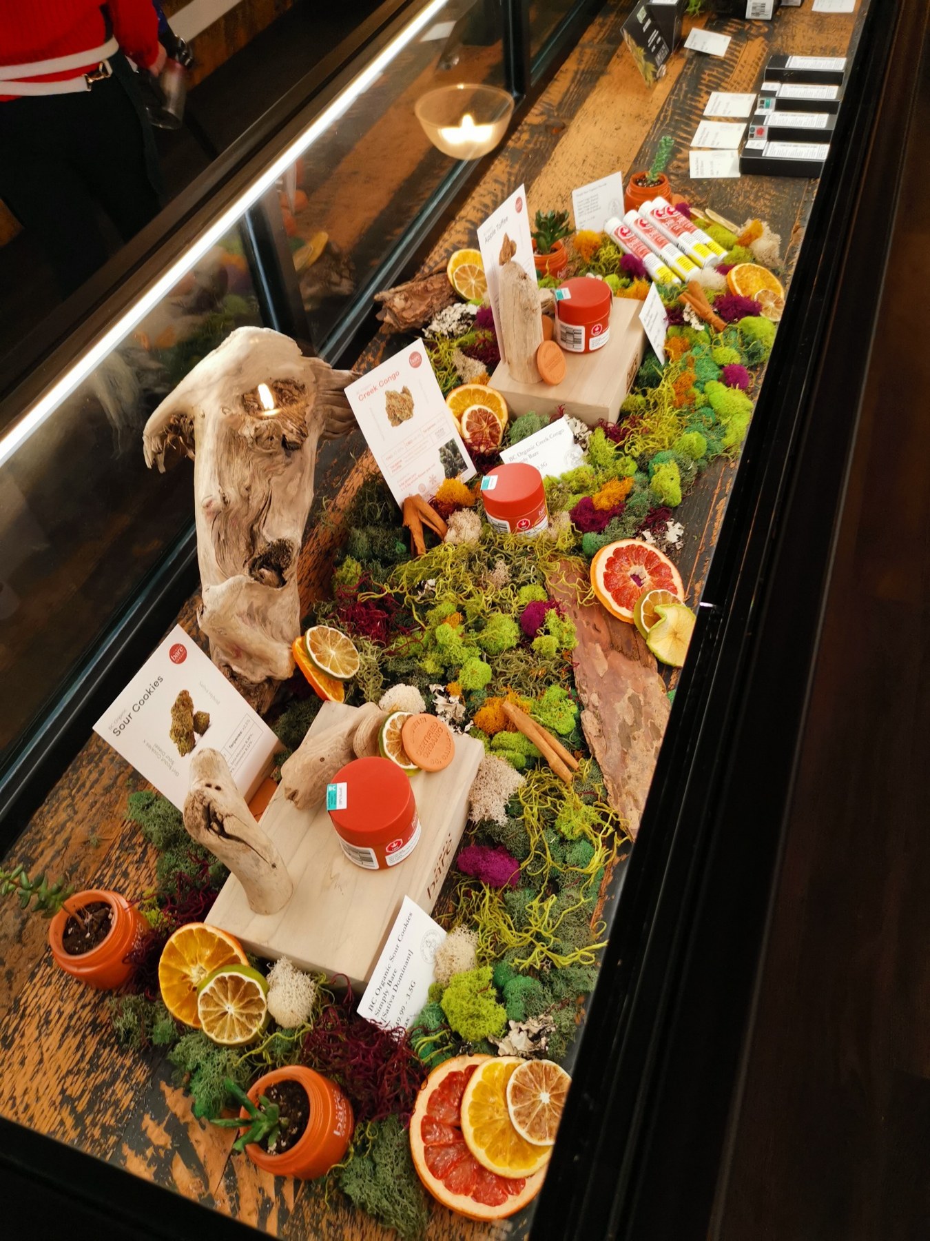 Simply Bare botanical retail display featuring living moss and natural materials